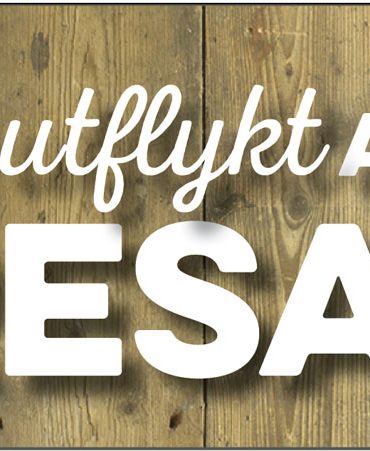 att göra en utflykt och att resa